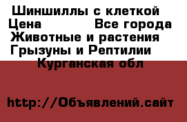 Шиншиллы с клеткой › Цена ­ 8 000 - Все города Животные и растения » Грызуны и Рептилии   . Курганская обл.